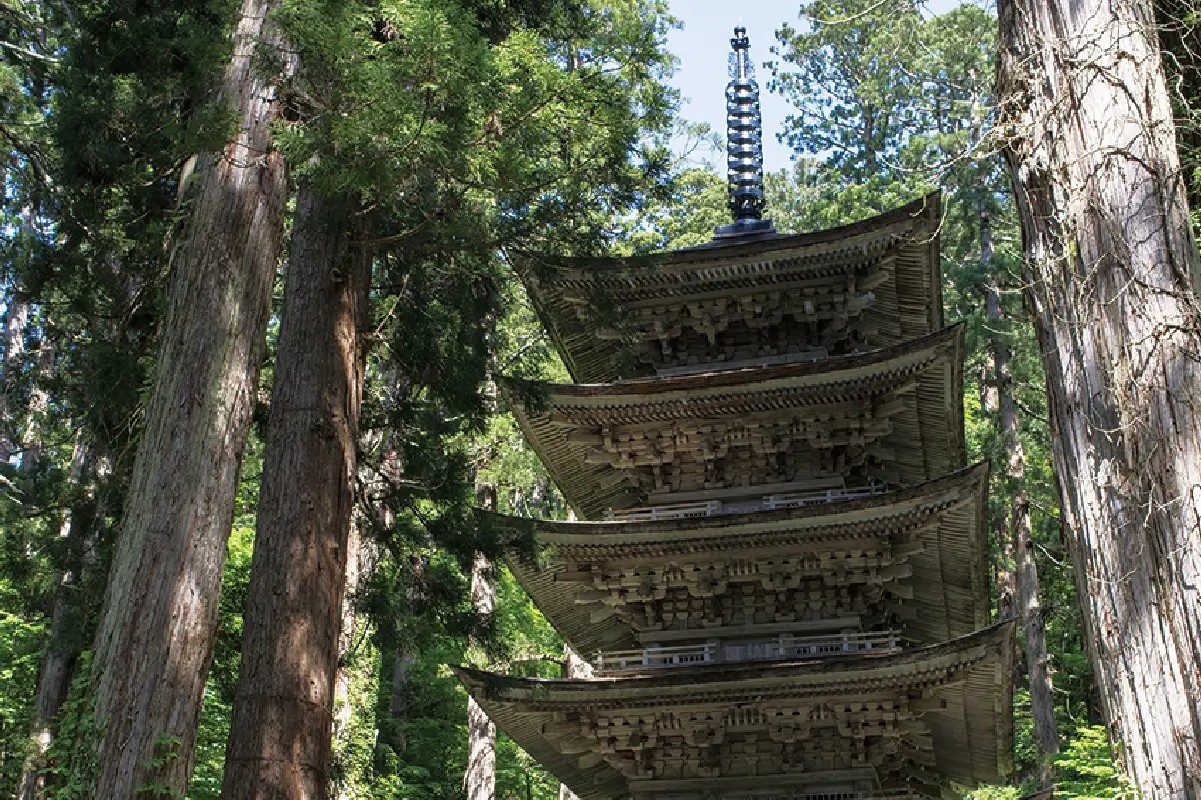 羽黒山 五重塔の写真
