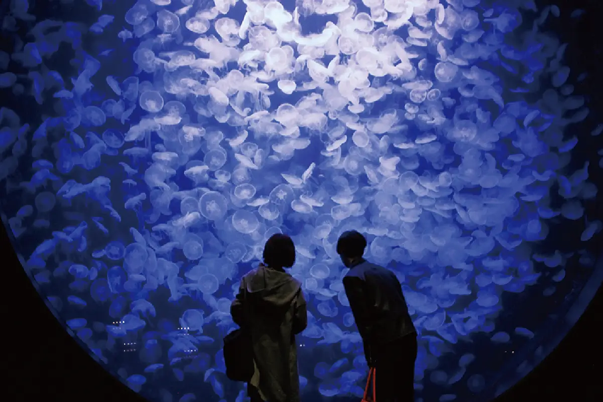 東北エプソン アクアリウムかもすいの写真